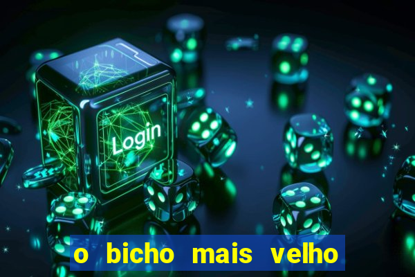 o bicho mais velho da loteria dos sonhos